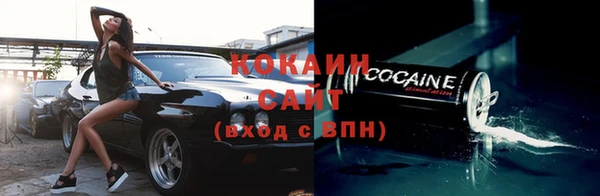 трава Наволоки