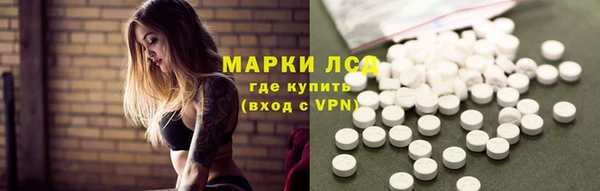трава Наволоки