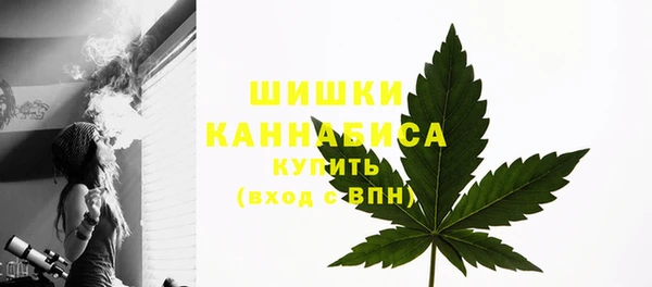 трава Наволоки