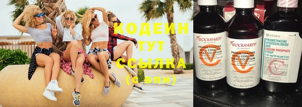 трава Наволоки